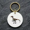 VU Raptor realiste.webp